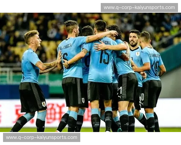 开云体育世界杯资讯：全景解读与实用指南